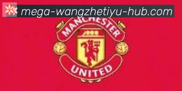 王者体育直播合作伙伴